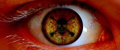 8210_0603eyeball