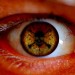 8210_0603eyeball