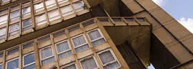8253_1003_robinhood