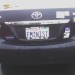 8276_femcar 8276_femcar