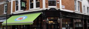 8293_greenman
