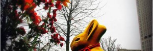 8359_Bunny