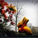8359_Bunny