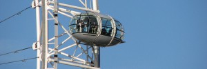 8379_eyeCapsule_sm