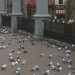 8401_2703-origami-birds-in-leicester-sq