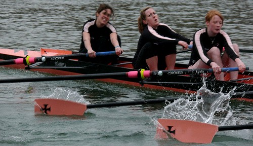 WEHORR08b.jpg