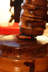 beware_of_the_gavel.jpg