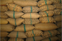 3004.rice.jpg