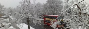 8489_0604.weru2