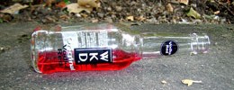 8513_0804_wkd