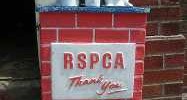 8537_rspca