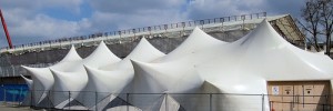 8557_CSark02
