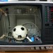 8585_FootTV01 8585_FootTV01