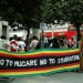 8587_zimbabwe
