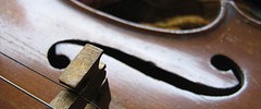 8589_violin