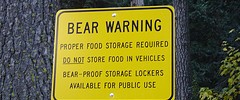 8612_bearsign