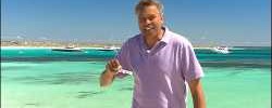 8668_ernie_dingo