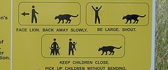 8673_lionsign