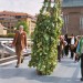 8699_hedge2 8699_hedge2