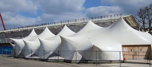 CSark02.jpg