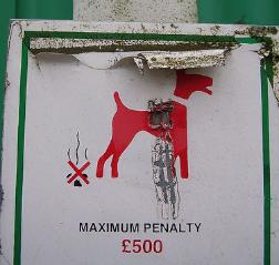 dogpoo.jpg