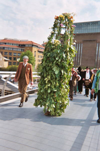 hedge2.jpg
