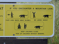 Lion sign