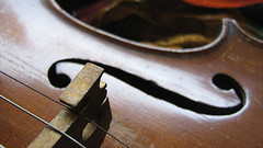 violin.jpg