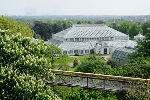 2305kewwalk1.jpg