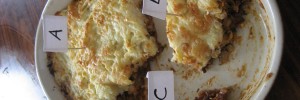 8737_pie