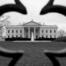 8782_whitehouse 8782_whitehouse