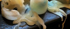 8846_wax