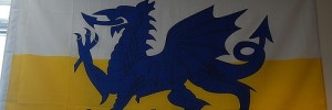 8859_CardFlag03