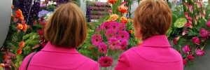 8892_Pinks 8892_Pinks