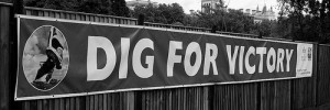 8959_2705digforvictory