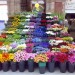 8969_Florist_Marylebone 8969_Florist_Marylebone