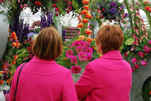 Pinks.jpg