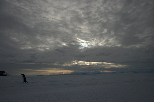 antarctica.jpg