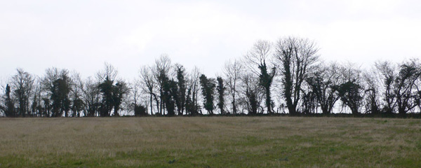 Atmospheres 2