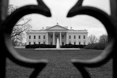 The White House