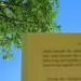 9023_Summer_reading
