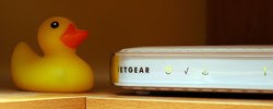 9028_netgear