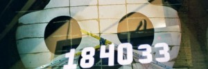 9035_panda