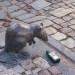 9041_rat 9041_rat