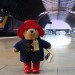 9049_Paddington