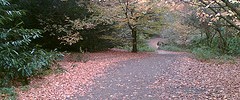9148_hampstead 9148_hampstead
