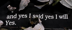 9158_Ulysses