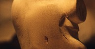9289_pignose