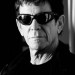 9294_loureed