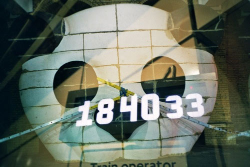 panda.jpg